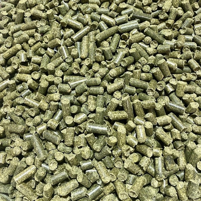 荷蘭進口苜蓿粒