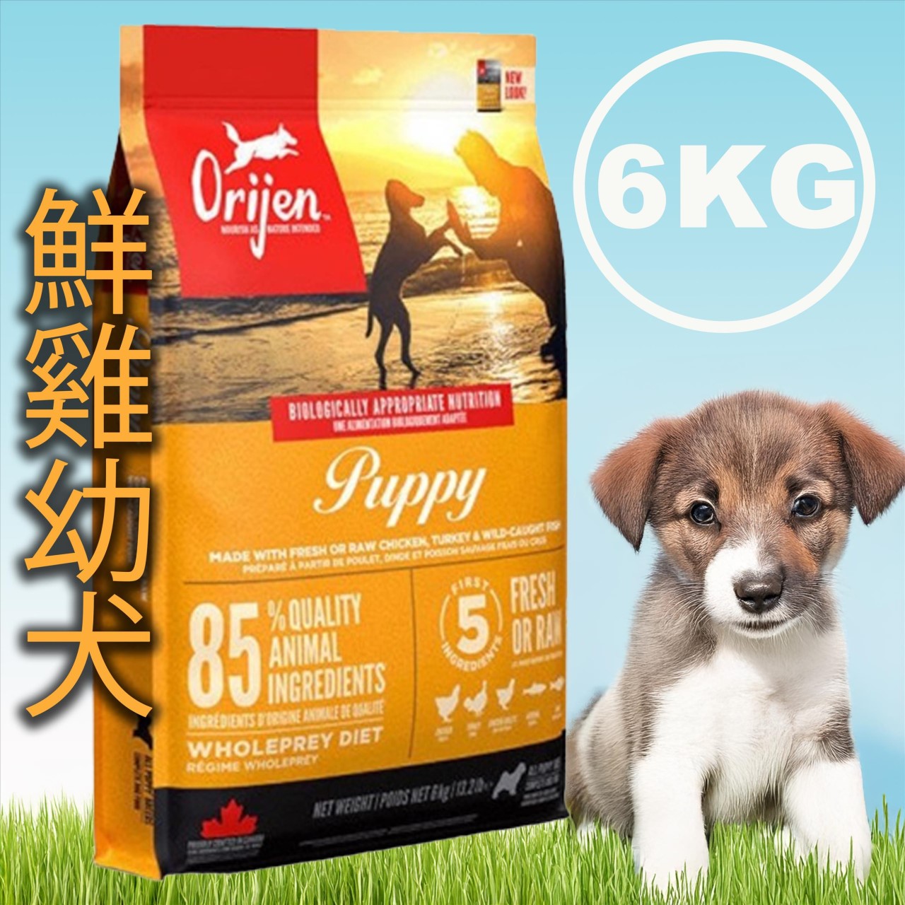 Orijen 歐睿健 無穀犬飼料 4.5KG/6KG 系列