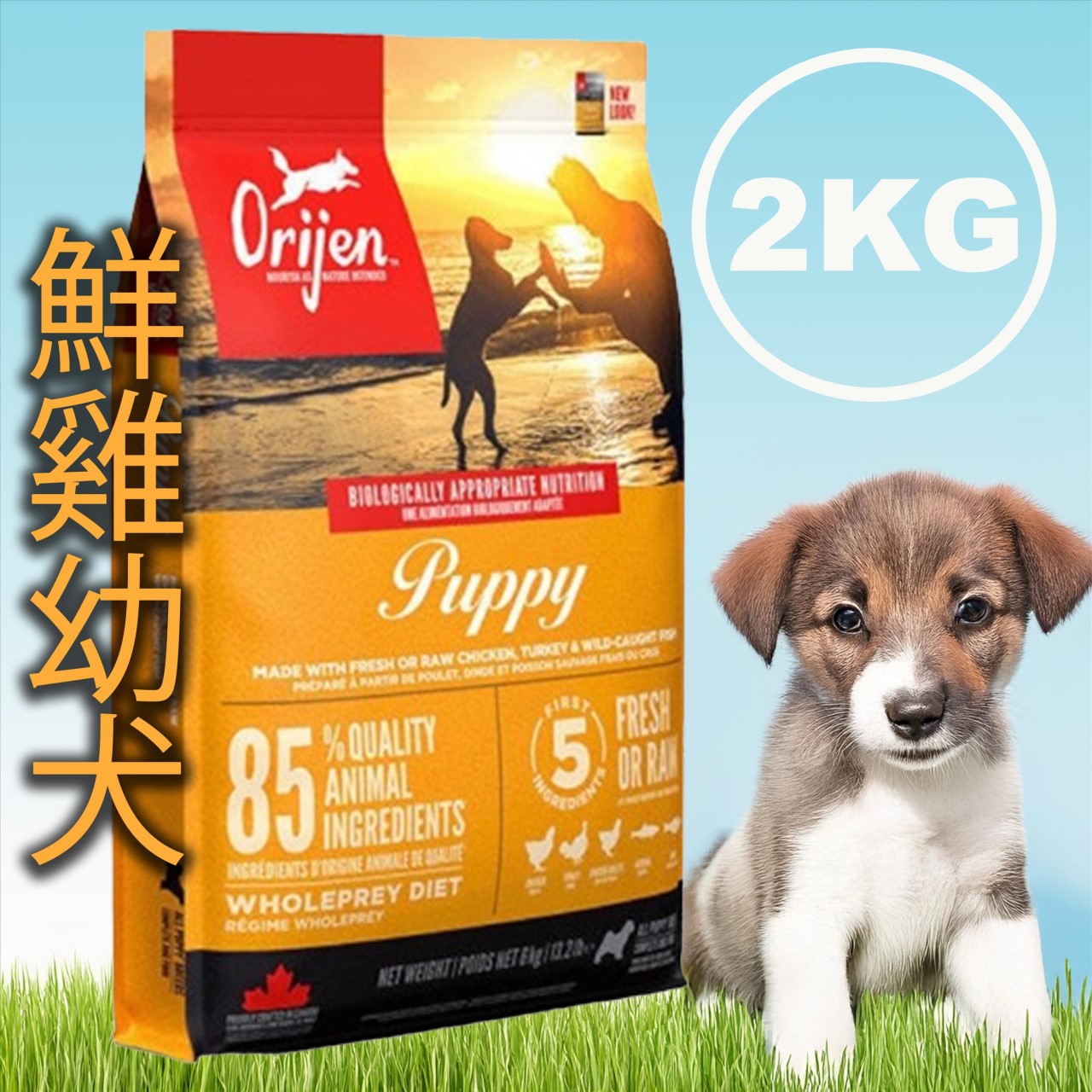 Orijen 歐睿健 無穀犬飼料 1.8KG/2KG 系列