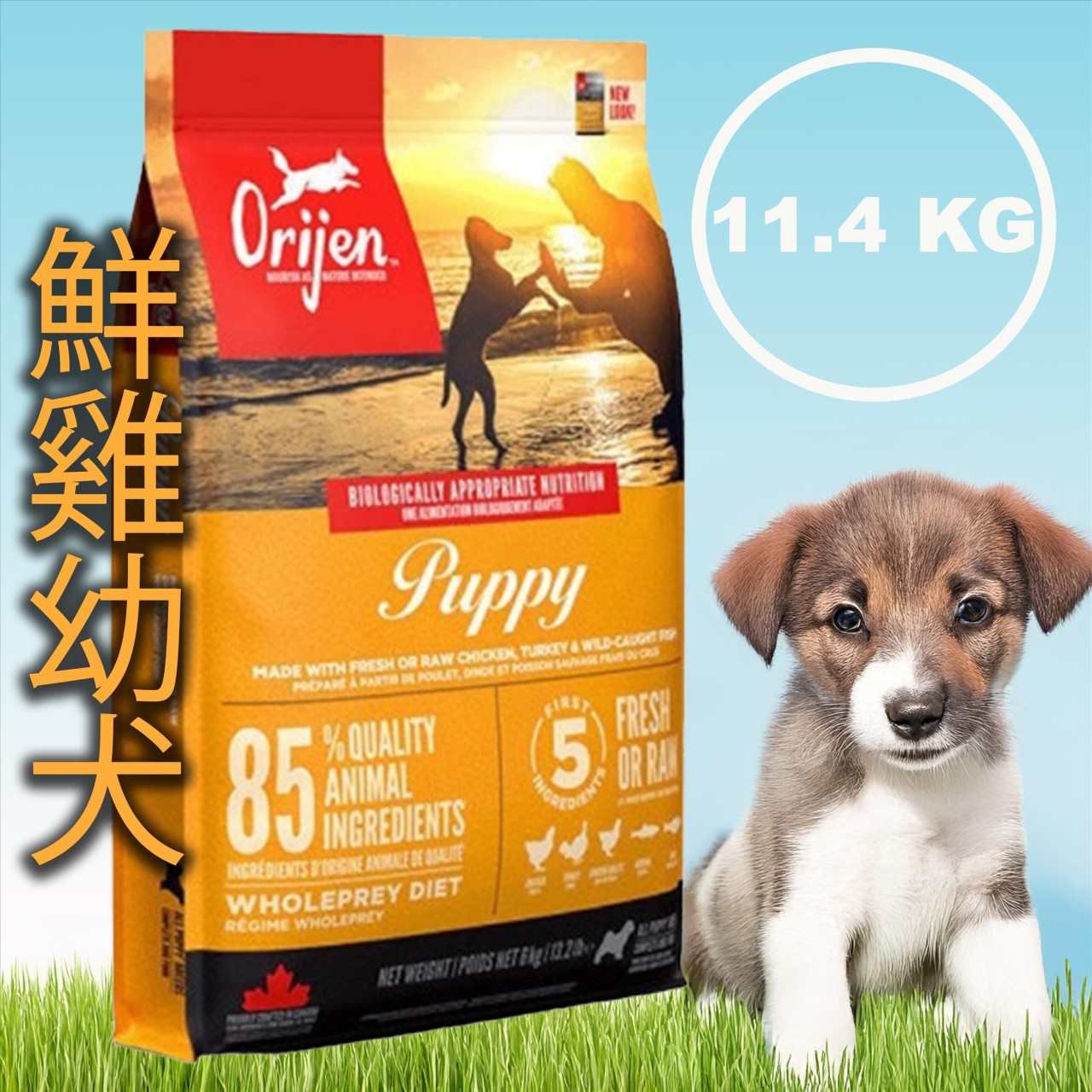 Orijen 歐睿健 無穀犬飼料 11.4KG 系列