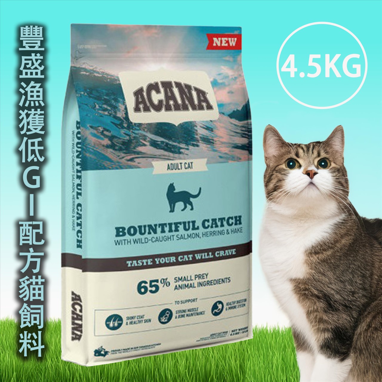 Acana 愛肯拿 無穀貓飼料-4.5KG系列