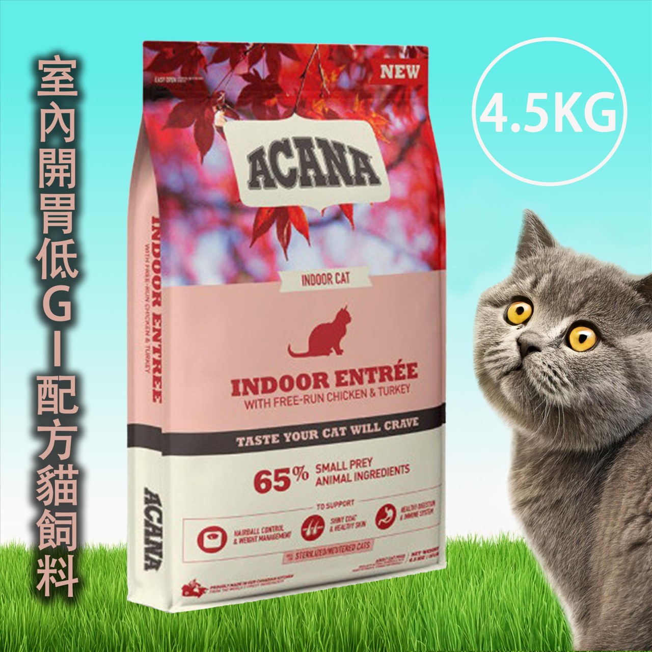 Acana 愛肯拿 無穀貓飼料-4.5KG系列
