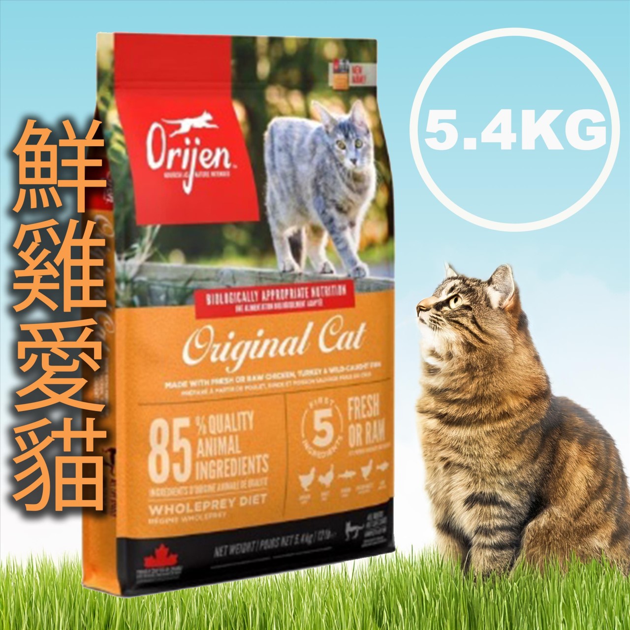Orijen 歐睿健 無穀貓飼料 4.5/5.4 KG 系列