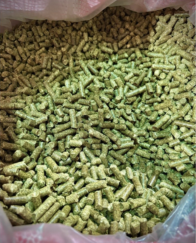 荷蘭-高品質苜蓿粒 18Kg/箱