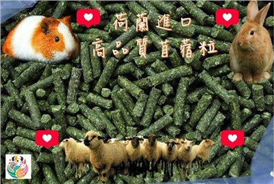 荷蘭-高品質苜蓿粒 18Kg/箱